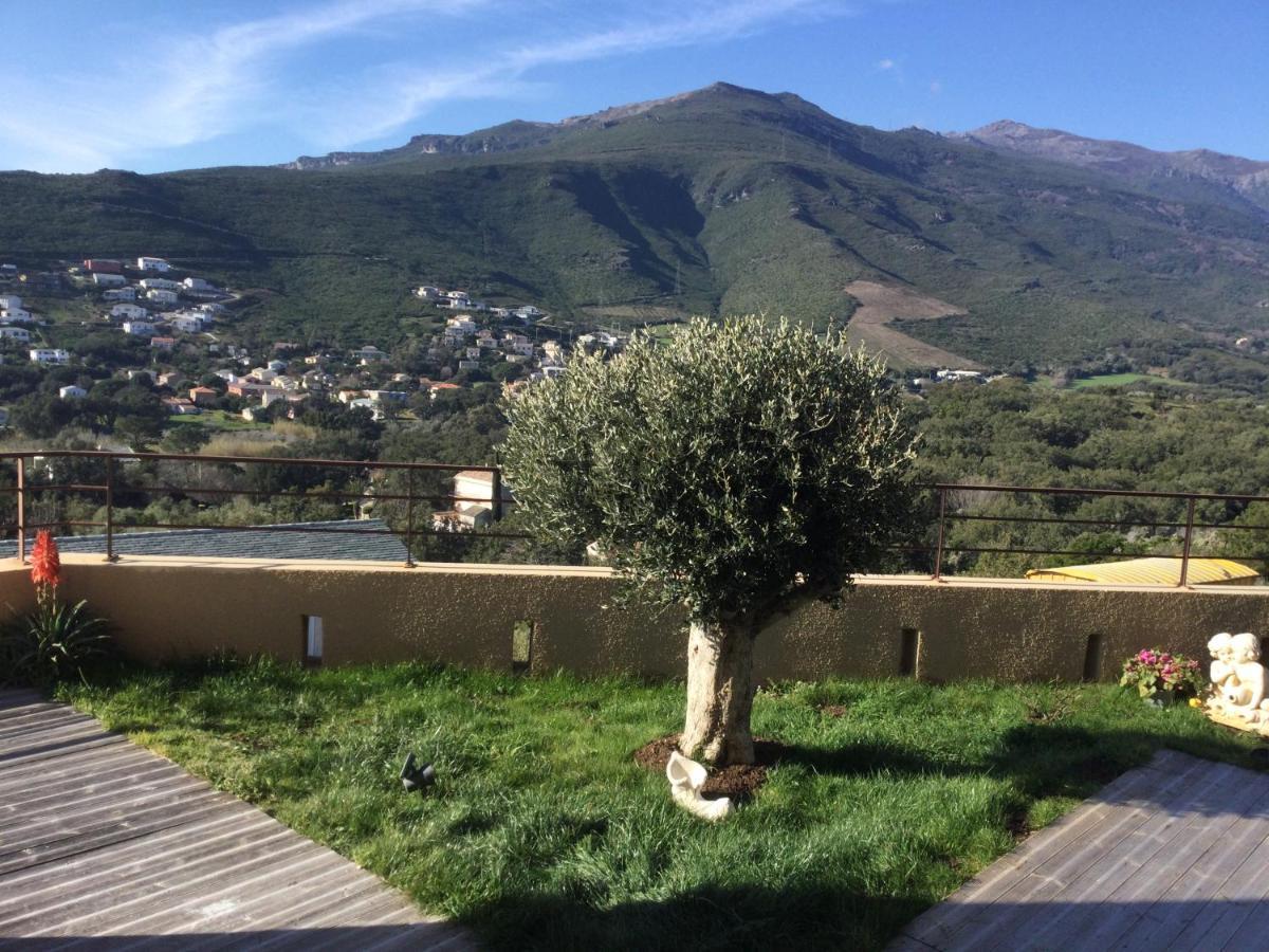 Chambre D Hotes En Haute Corse Sisco Exterior photo