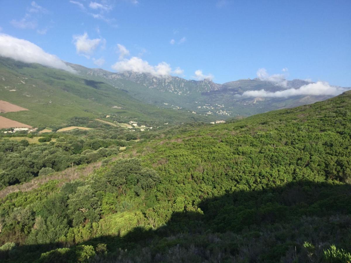 Chambre D Hotes En Haute Corse Sisco Exterior photo